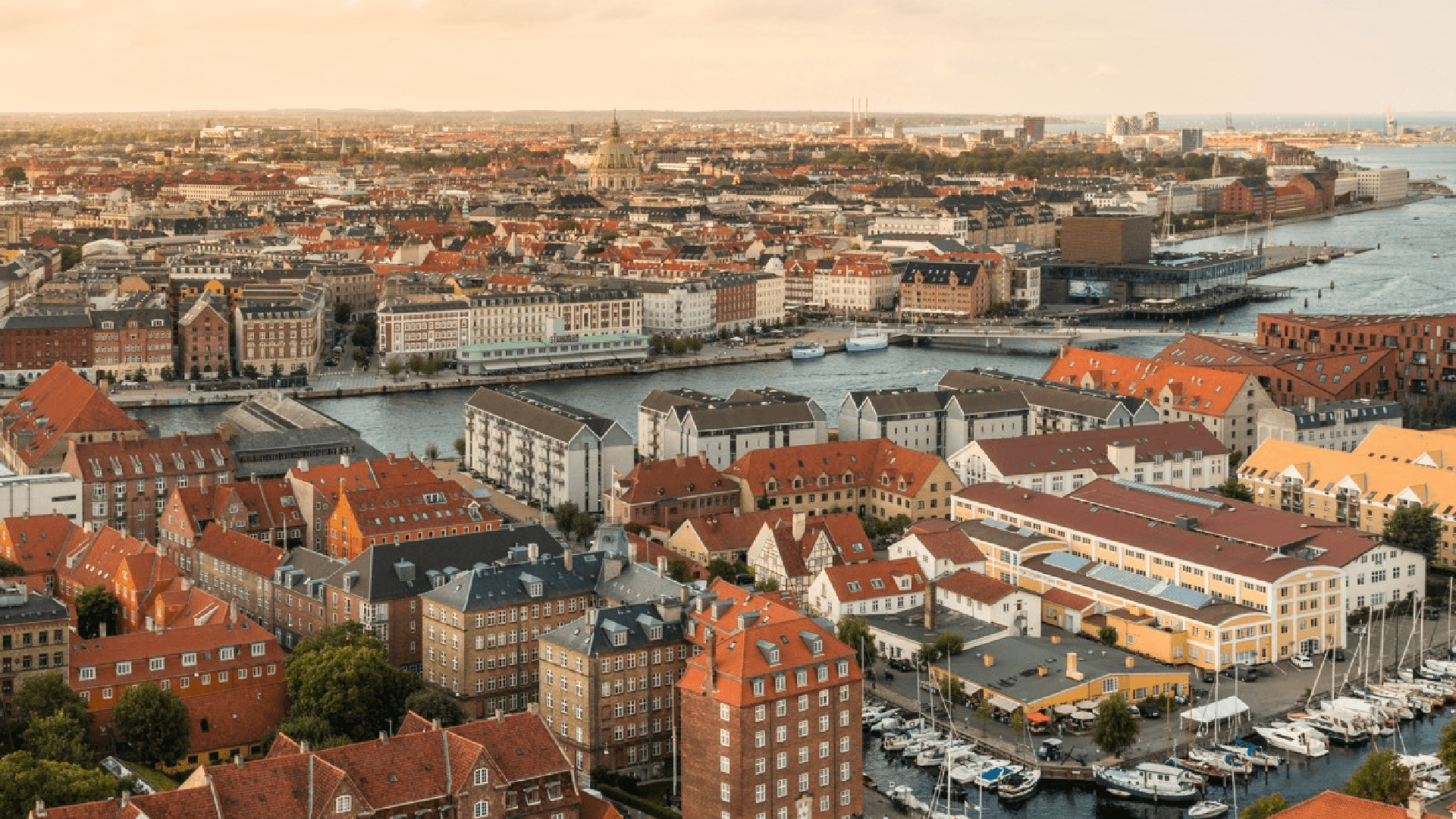 Udsigt over Københavns skyline med havn, tage og kanaler i aftensol.