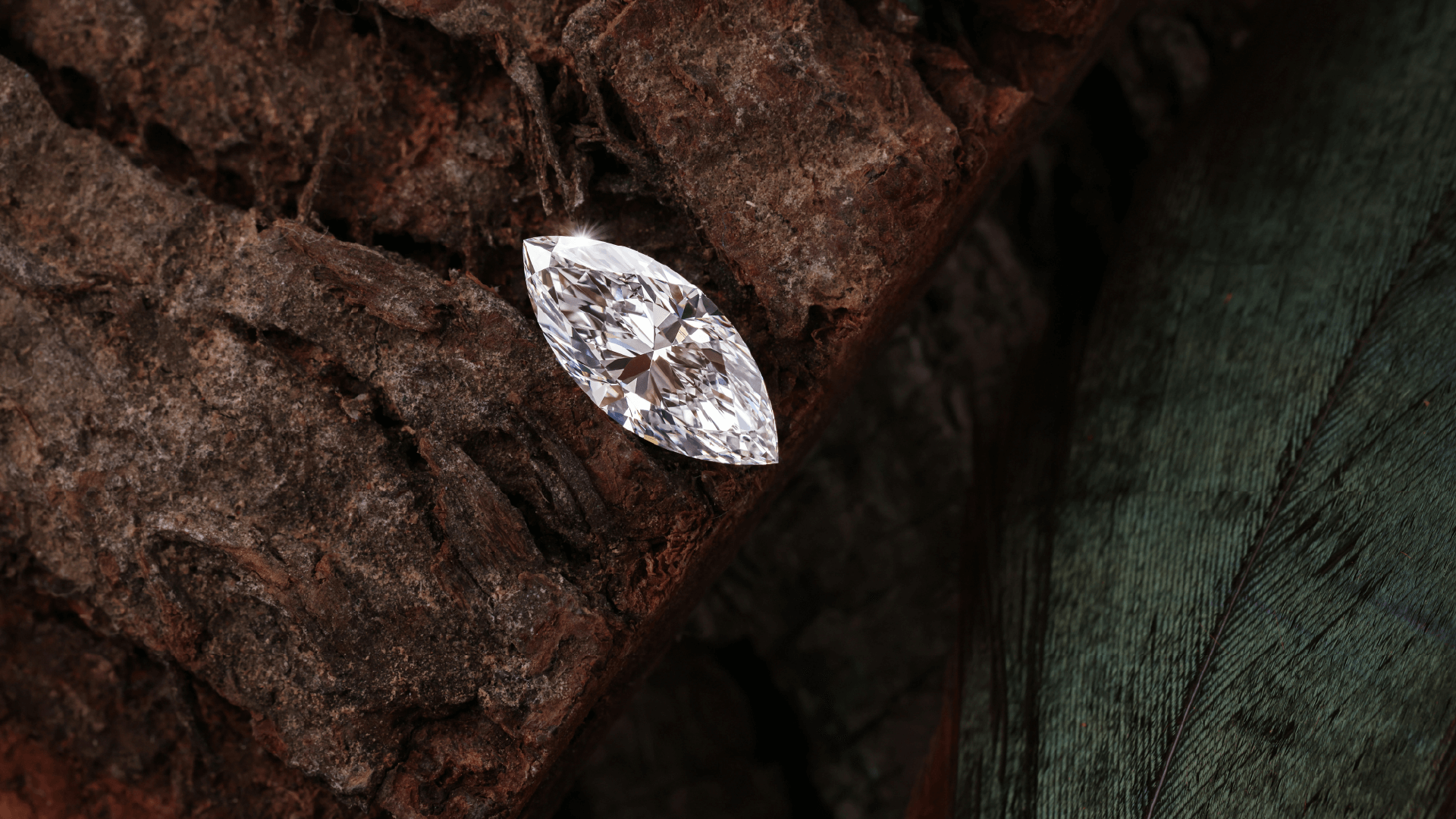 Marquise-slebet laboratorieskabt diamant præsenteret på rå barkstruktur.