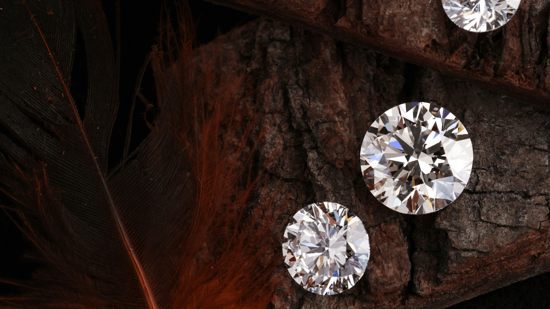 Laboratorieskabte diamanter i rund brillantform på mørk natur baggrund med træ og en fjer.