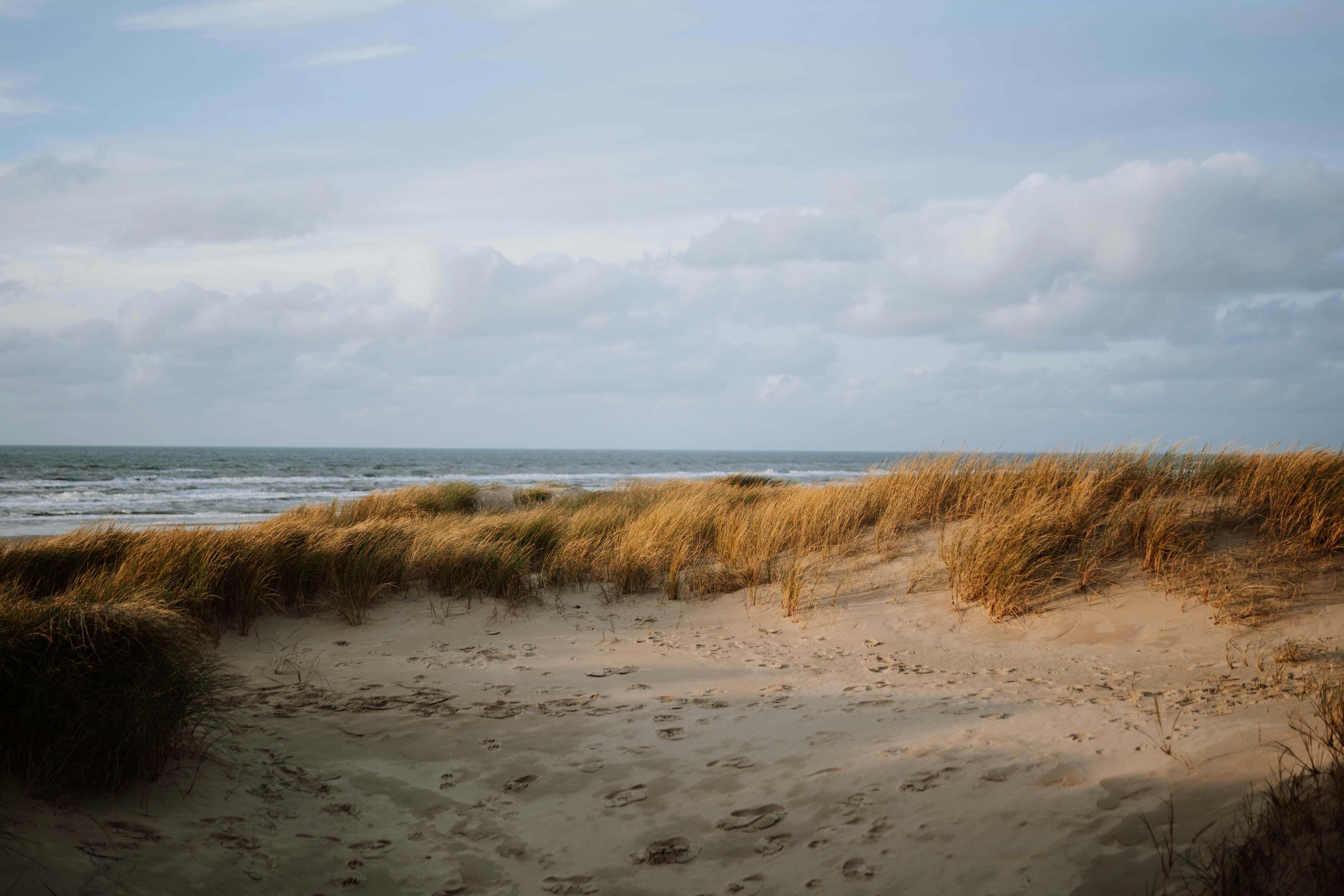 Strand med skyer og strandgræs.